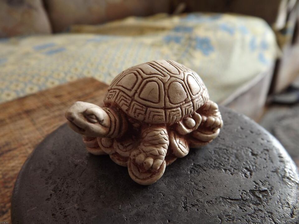 乌龟形象作为幸运护身符